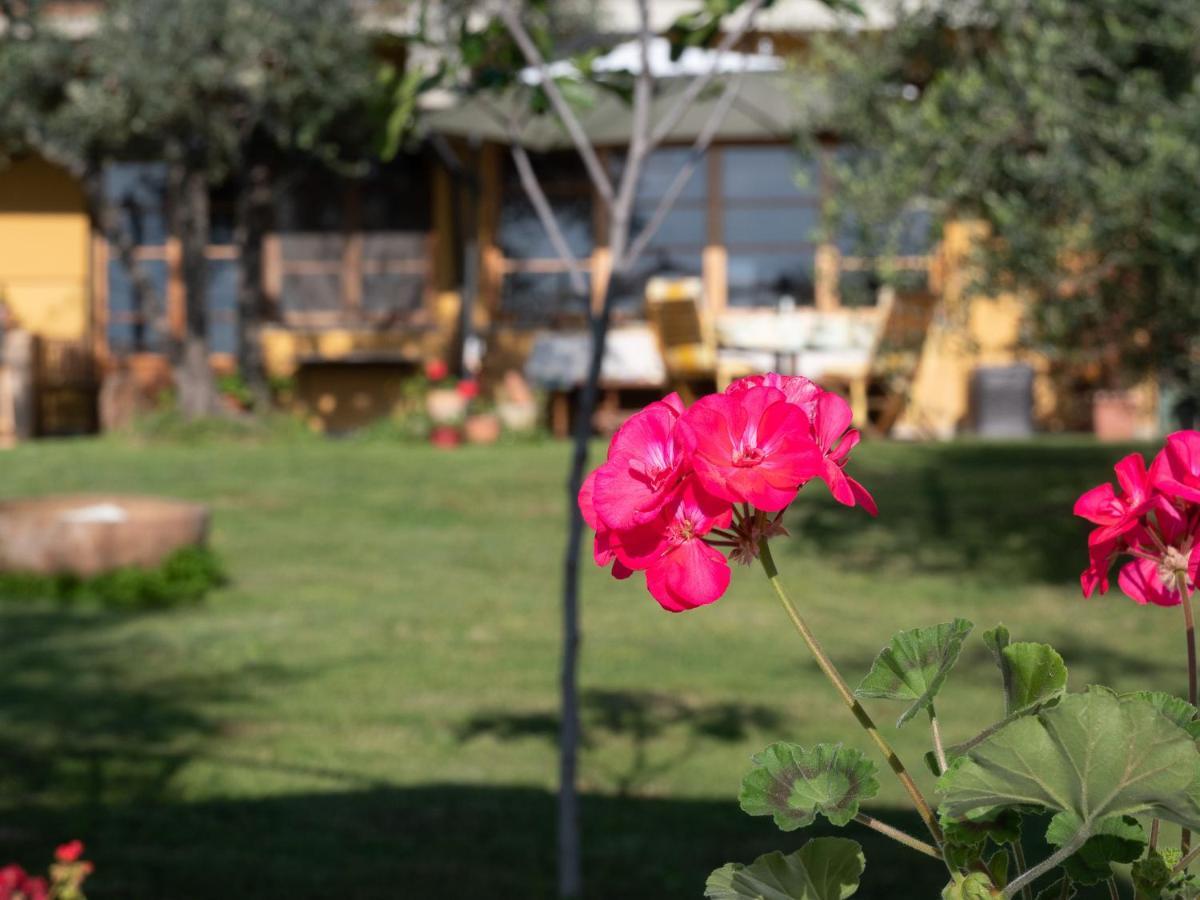 B&B Casa Decimo Greve in Chianti Zewnętrze zdjęcie